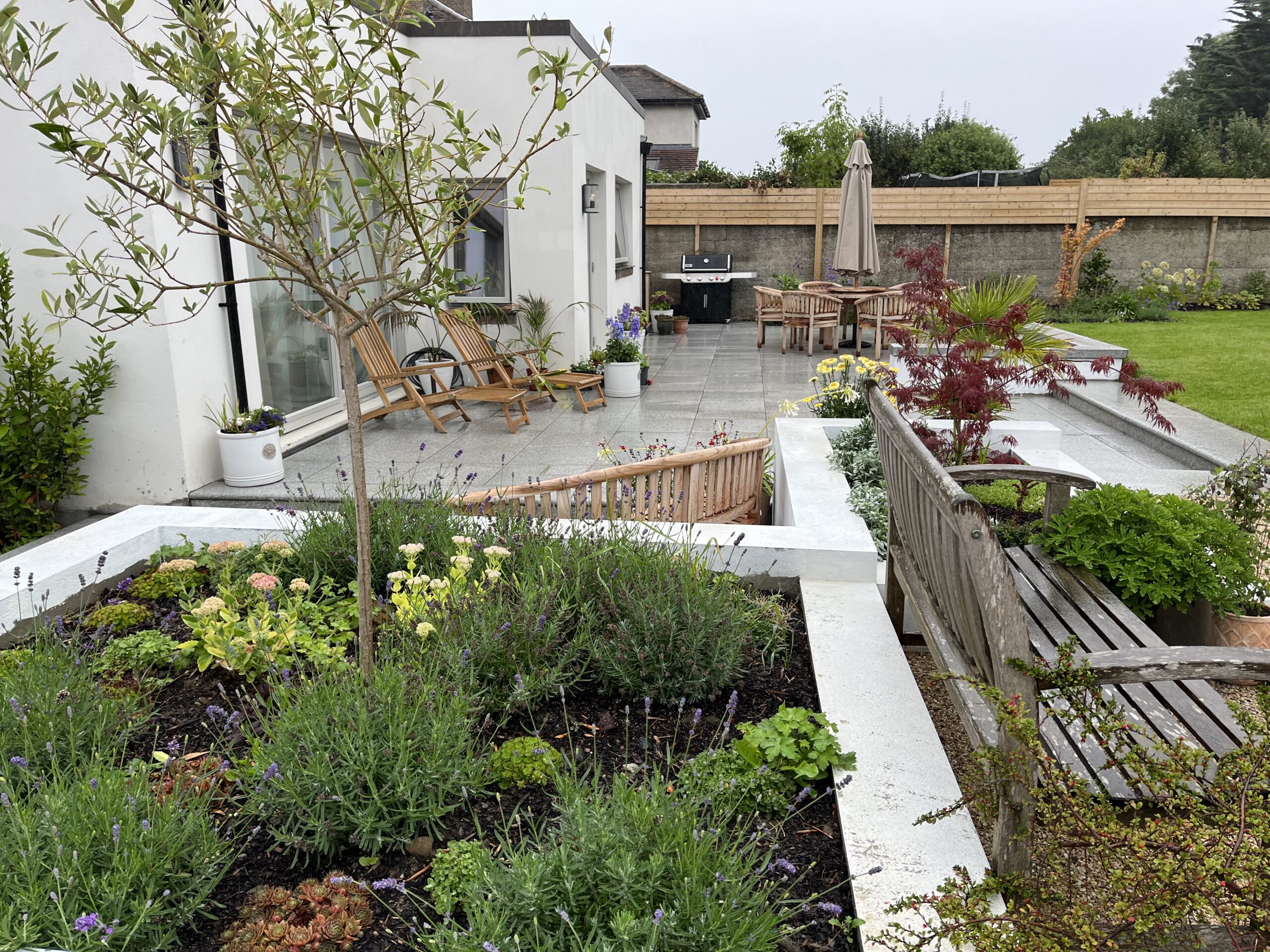 Garden Design & Build